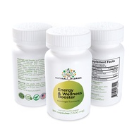 Energy & Wellness Booster 90 Vegan Capsules- Natural Florida - Made in USA