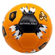 Euro Cup 2024 Mini Soccer Ball, Size 2 Skills & Collectible Soccer Ball