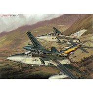 Sergeant Model Veyron 4614 1/144 Wild Wind F.3 Fighter 111th Squadron 90th Anniversary