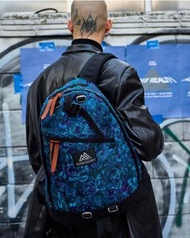 學生即減$100💢GREGORY 現貨🌟 黑花 藍花 26L‼️ GREGORY 背囊 26L BLACK TAPESTRY  BLUE TAPESTRY 書包 backpack Gregory背囊 