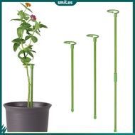 smiles|  Pot Stand Shape Plant Anti-rust Durable Anti-deformed Long-lasting Wide Applications Reusable Plant Climbing Sturdy Plant Support Stakes for Amaryllis