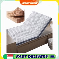 【Lucky Home】 Coconut Fiber Mattress / Foldable / 4 Sizes / 4cm