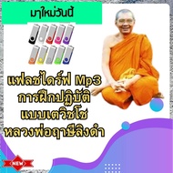 [พรเทวะ]  แฟลชไดร์ฟ MP3 การฝึกปฏิบัติแบบเตวิชโช หลวงพ่อฤาษีลิงดำ