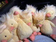 Jellycat炸毛鴨 