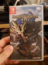 Monster hunter rise