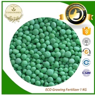 YaraMila Baja Bertumbuh Berdaun Growing Fertilizer Import生长肥料15:15:15