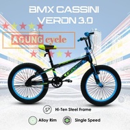 NEW STOCK SEPEDA BMX TREX CASSINI 20 INCH VERON 3.0 GRAB GOJEK INSTAN