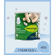 GERBER ORGANIC DWARF CAN White Bean Hummus 42G (USA)