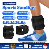 Ankle Weights Adjustable Leg Wrist Sand Bag Weights - 0.5/1/1.5/2/2.5KG