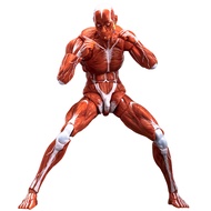 HiPlay KeepGoing 1/12 Human Muscle Model Action Figure
