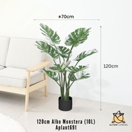 Plant artificial Albino Monstera 120cm, home decor, garden, events, Aplant691
