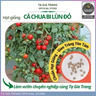 Red dwarf cherry tomato seeds (bonsai tomato) - Ta Gia Trang seed Shop