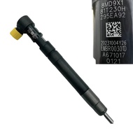 A6710170121 EMBR00301D Common Rail Injector Fuel Injector Nozzle for SSANGYONG R00301D