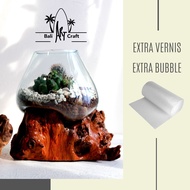 AKUARIUM IKAN CUPANG/ KACA TIUP DAN AKAR BALI / AQUASCAPE / AQUARIUM UNIK GLASSWOOD / POT / VAS / KA