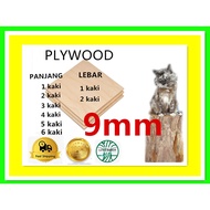 (9mm MR Grade) 1ft - 6ft x 1ft/2ft smooth surface plywood