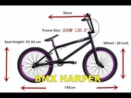 20 Inch BMX