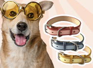 Pate Cho Chó DoggyMan Thịt Gà & Rau Củ Tươi 70g