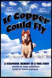 If Copper Could Fly a true story Linda