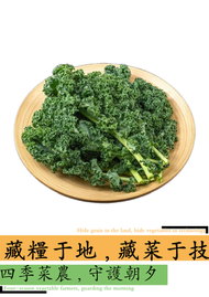 蔬菜之王羽衣甘藍-低脂輕卡(500-600g)