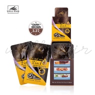 WELL HAIR Color Hair Shampoo Black Colored White Hair Turns To Black Hair Buble Dye WH-R003 30ml