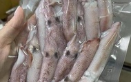 【澎湖海鮮直送 夜照熟中卷x1包 (300g/包)】季節限定小捲小管 自家船隊捕撈就是鮮
