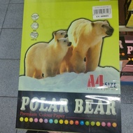 CY.GREEN 80gsm A4 POLAR BEAR 450 sheets // Midashi