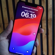 iPhone 12 Pro Max Bekas 128 GB Wifi Only Pemakaian Pribadi
