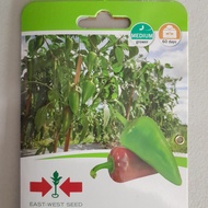 ◓ ∎ ◴ ✲ SULTAN F1 HYBRID SWEET PEPPER / BELL PEPPER / ATSAL (100 SEEDS) by EAST WEST SEED