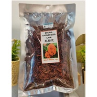 Ixora Chinensis Lam 龙船花 (18g)