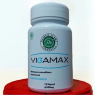 Big Sale VIGAMAX Asli Original Suplemen Obat Kuat Stamina Pria Dewasa