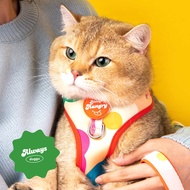 [พร้อมส่ง] DOGGU ALWAYS HUNGRY HARNESS SET 🍔 🧀