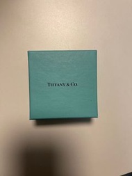Tiffany 首飾盒 box