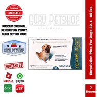 Revolution Teal For Dogs 401-85lbs / Dog Flea Drops / Revolution Teal Dog Flea Medication