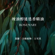 桉油醇迷迭香精油 | Rosemary Essential Oil | 涼感草本 木質穩