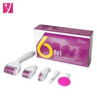 6 Household Multifunctional Micro-Needle Roller Massager 6-in-1 Facial Beauty Replacement Head 1DRS 