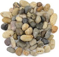 CNZ Mix Color Polished Natural River Pebble Stone, Grade A, 1.0-1.5", 10 lb.
