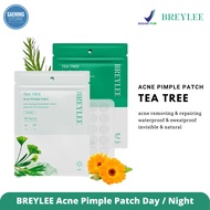 BREYLEE 5PCS ACNE PIMPLE PATCH Day | Night Night Night
