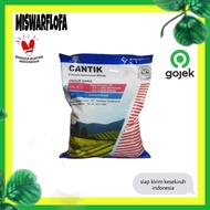 PUPUK CANTIK 1 KG KEMASAN PABRIK CALCIUM AMMONIUM NITRAT