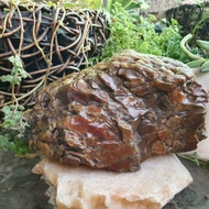 Y926L Alxa Inner Mongolia Agate Horse Tooth Material Ornaments 156.3 X 86.5 X 52.9 Irregular Mountai