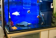 (SOLD) 魚缸 + Aqua one 1250 外置過濾器 ❗️生態 / 水草 / AA /日創 / Eheim / 水族 / 魚 / 蝦 / 水泵 / 過濾器 / 寵物 / 玩具/ 金魚 /風水