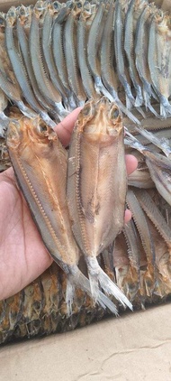 DRIED FLYING FISH from MINDANAO