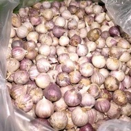 BAWANG PUTIH TUNGGAL / LANANG PENUH KHASIAT 500G FRESH FROM THAILAND