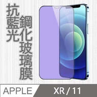 APPLE iPhone11 / iPhoneXR 6.1吋 護眼抗藍光高清防爆全滿版鋼化膜
