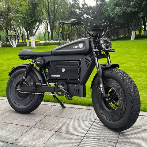 2025 New SS10 Warrior Electric Bike 20 Inch Fat Tyre Electric Bike Mountain Snow City Electric Bike