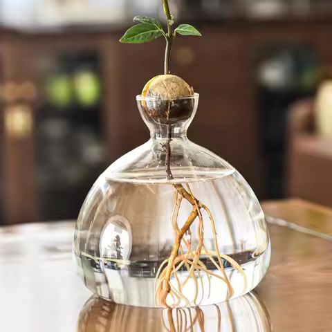 Avocado Tree Growing Kit,Avocado Seed Starter Vase,Glass Plant Pot with Avocado Stickers,Plant Indoo