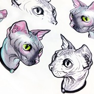 LAZY DUO埃及無毛貓刺青紋身貼紙幻彩斯芬克斯貓咪動物Sphynx Cat