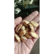 Brazil Nuts, brazil nut Washing Warehouse