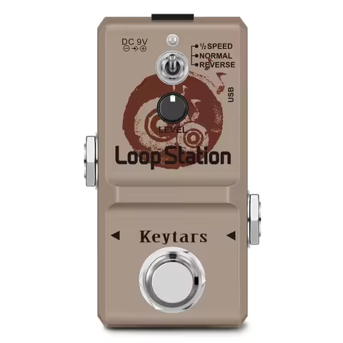 Rowin Sub-Brand Loop Station 48K Looper Pedal Unlimited Overdubs 10 Minutes of Looping, 1/2 time and