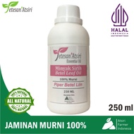 250ml minyak atsiri daun sirih murni betel leaf pure essential oil