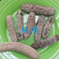 Teripang Gamat Duri Super Haisom Teripang Emas